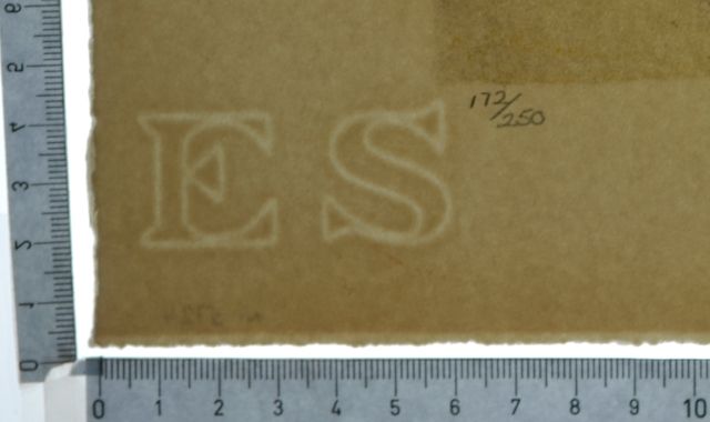 The Land Come to Life