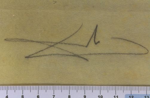 Sa symétrie n'appartant ni au hasard ni a la nature