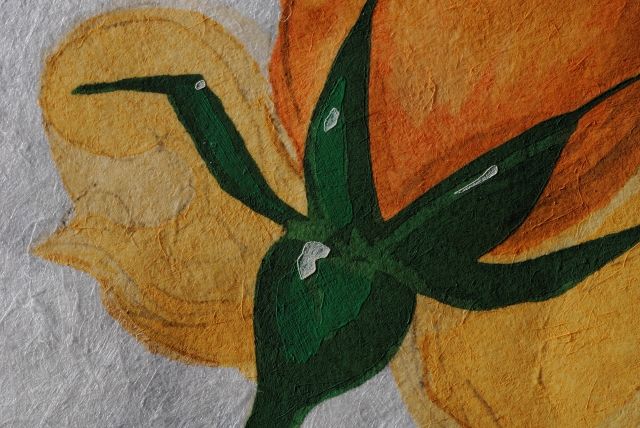 Rosa Papilio  (Rose)