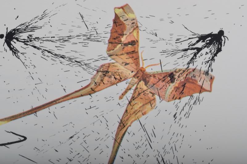 The mock turtle's story