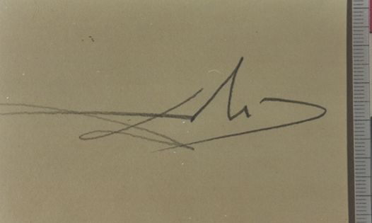 L'homme rescuscité par l'holographie de l'ecureuil