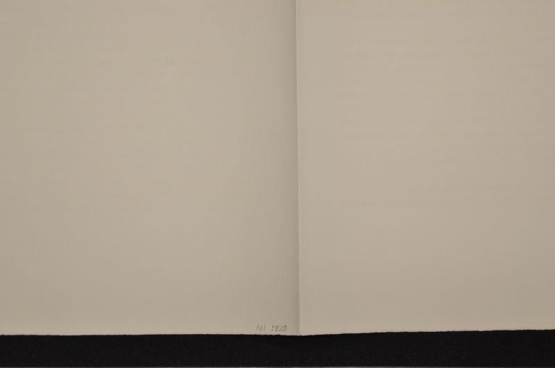 S/T  [Figura amb espasa]