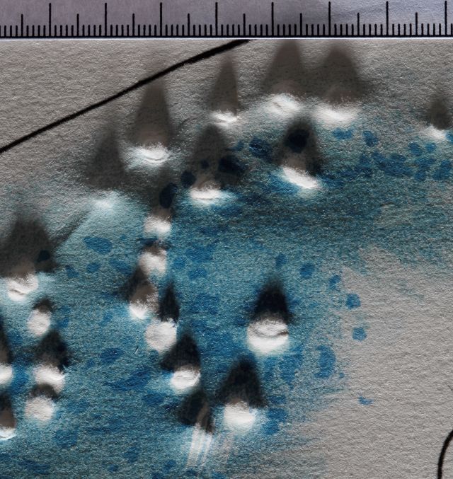 Le cercle viscéral du cosmos