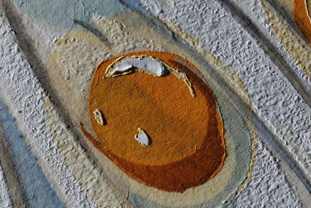 Chrysanthemum frutescens ( Marguerite )