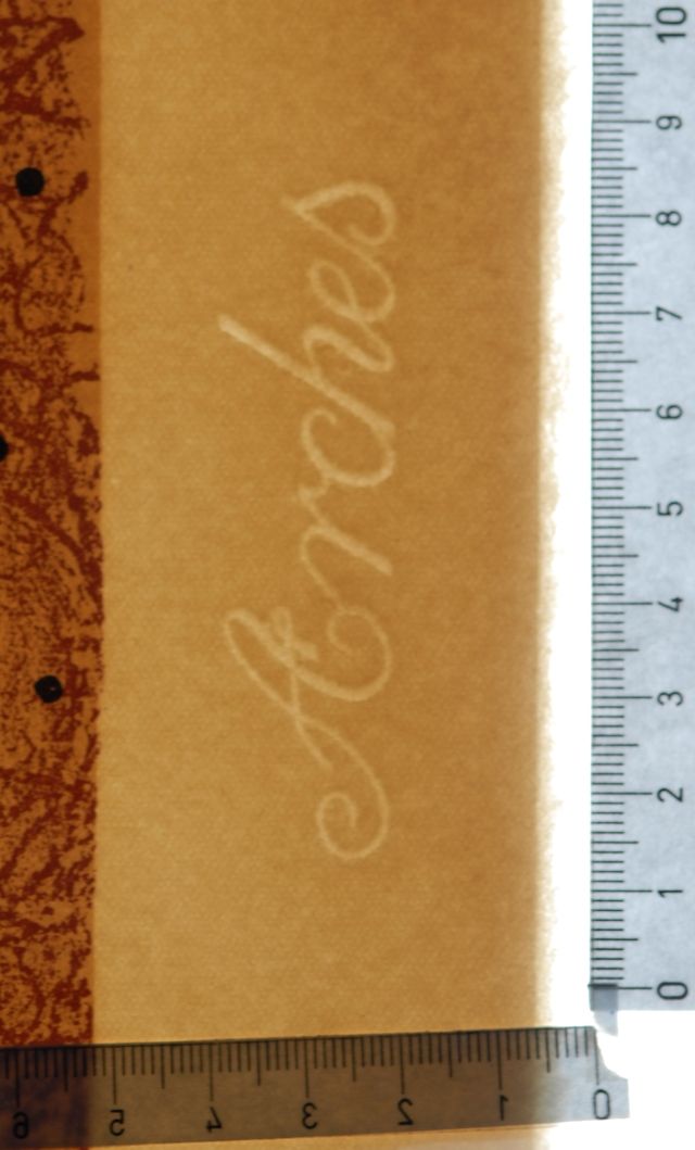 Angels of the Rebirth