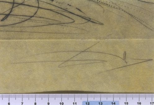 L'arrivée de la mousson, le bûcher de bucéphale