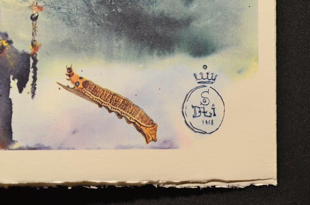 The lobster quadrille