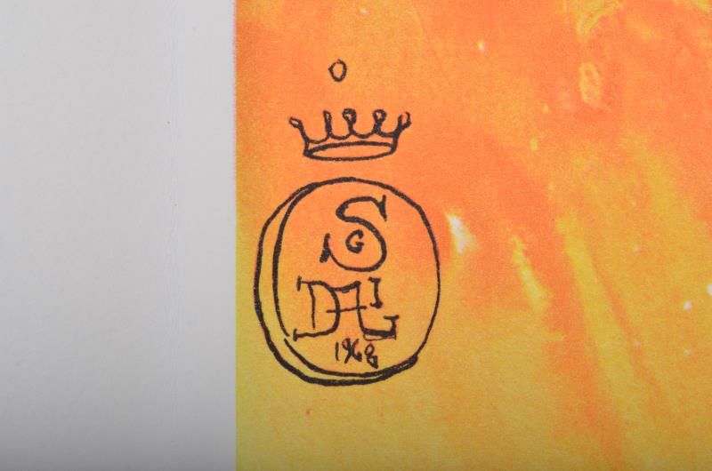 Down the rabbit hole