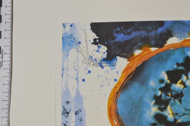 Ultra Surrealistic corpusclaire Galutska