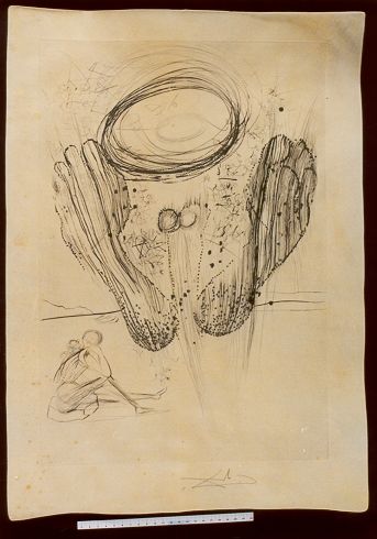 Sa symétrie n'appartant ni au hasard ni a la nature